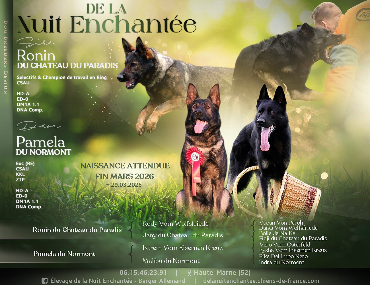 🍼 Bébés attendus fin Mars ! 